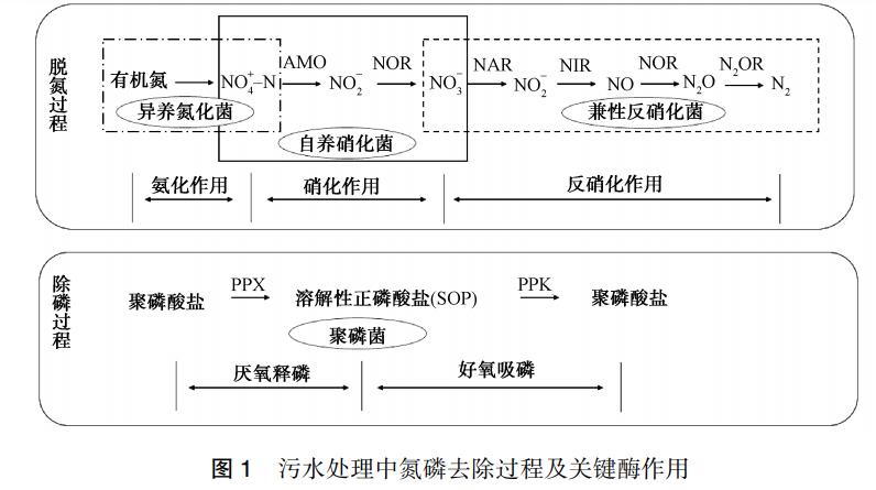 污水處理設備__全康環(huán)保QKEP