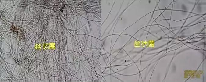 污水處理設(shè)備__全康環(huán)保QKEP