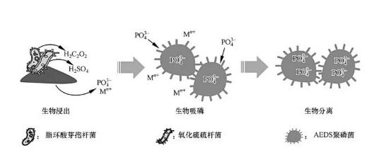 污水處理設備__全康環(huán)保QKEP