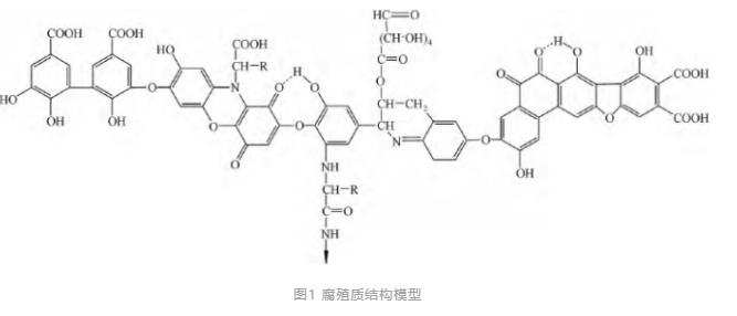 污水處理設(shè)備__全康環(huán)保QKEP