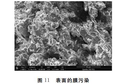 污水處理設備__全康環(huán)保QKEP