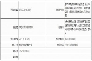 中國五冶集團(tuán)中標(biāo)宜賓市翠屏區(qū)宋家鎮(zhèn)中部污水處理廠建設(shè)項目與宜賓市翠屏區(qū)李莊污水處理廠二期及管網(wǎng)建設(shè)項目