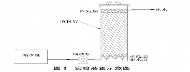 低碳氮比廢水中總氮鐵屑耦合固相反硝化處理